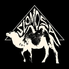 Slomosa Slomosa - LTD (LP)