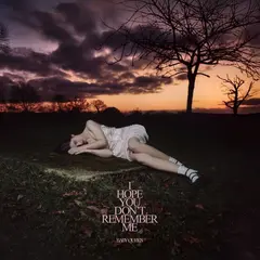 Baby Queen I Hope You Don't Remember Me (LP)