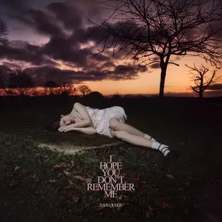 Baby Queen I Hope You Don't Remember Me (CD)