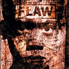 Flaw Through The Eyes (2LP)