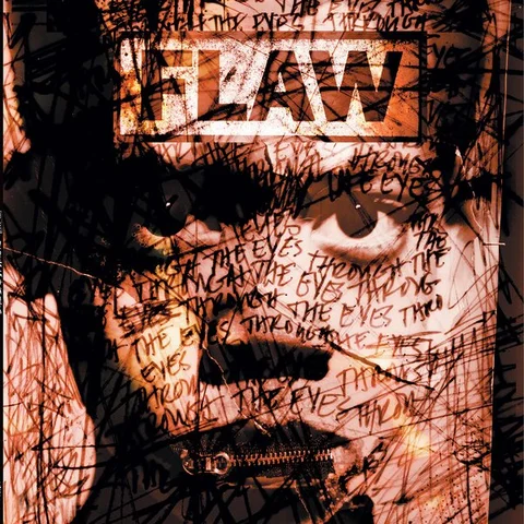 Flaw Through The Eyes (2LP) 