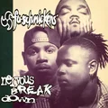 Fu-Schnickens Nervous Breakdown (LP)
