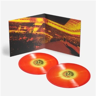 Twenty One Pilots More Than We Ever Imagined - LTD (2LP) 