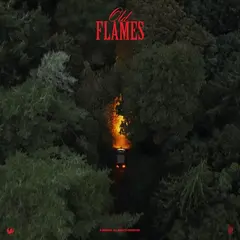 La Roux Old Flames (LP)