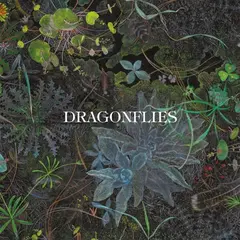 Dragonflies Dragonflies - LTD (LP)
