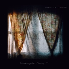 Attic Abasement Moonlight Passes On (LP)