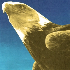 Protomartyr Hotel Usona (CD)