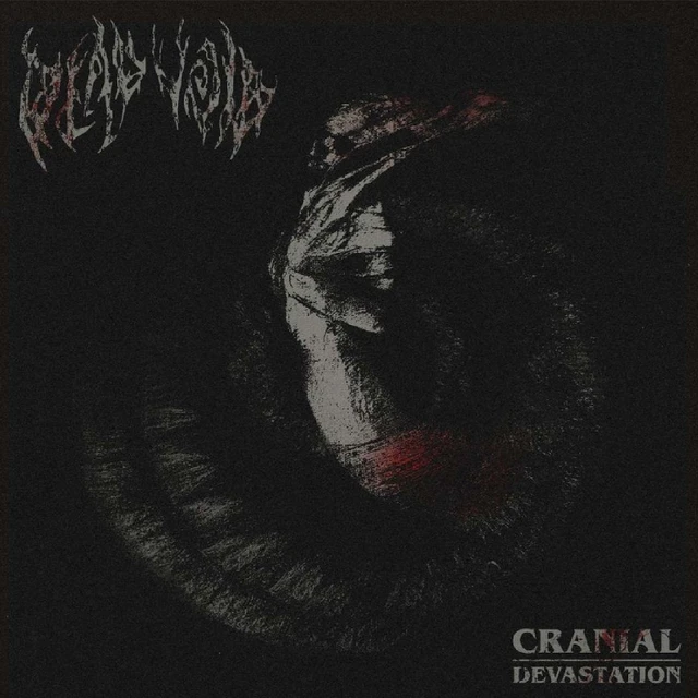 Dead Void Cranial Devastation (LP) 