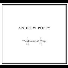 Andrew Poppy The Beating Of Wings (CD)