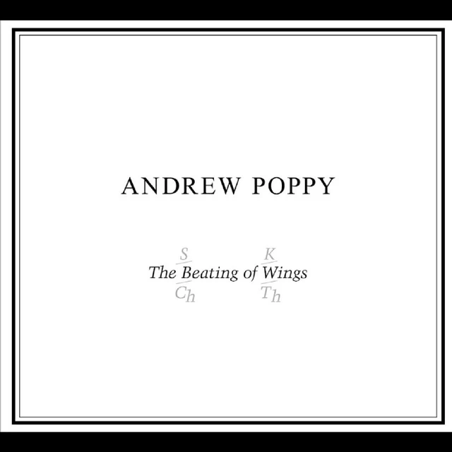 Andrew Poppy The Beating Of Wings (CD) 