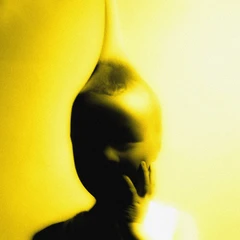 Lemonsuckr Life Is A Heist (LP)