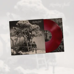 Howling Bells Howling Bells - 20th Anniversary (LP)