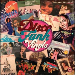 Diverse Artister Disco Funk Vinyls (2LP)