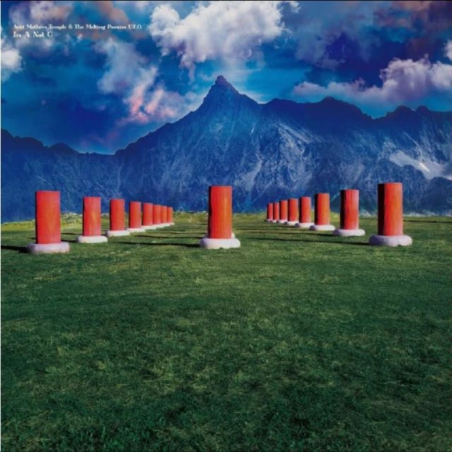 Acid Mothers Temple & The Melting… In A Not C (LP) 