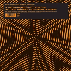 The No-Na-Mees Gotta Hold On / Just Wanna Be Myself(7")