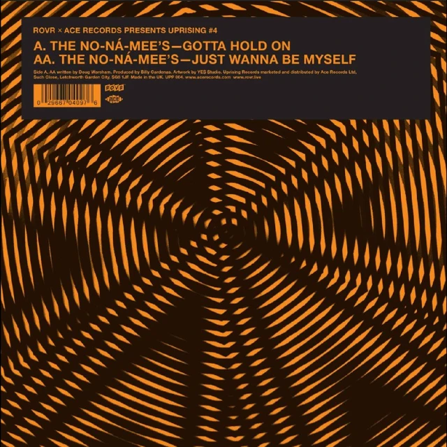 The No-Na-Mees Gotta Hold On / Just Wanna Be Myself(7") 