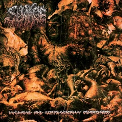 Sewage Degraded And Scatologically… (CD)