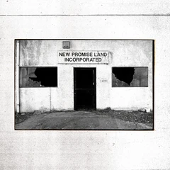 The Temperance Movement New Promise Land Incorporated (LP)