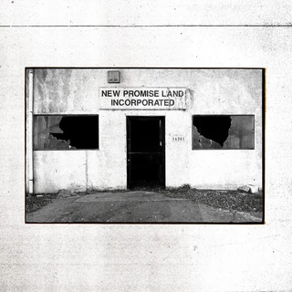 The Temperance Movement New Promise Land Incorporated (CD)