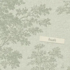 Chad Lawson hush (CD)