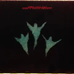Bonnie 'Prince' Billy Ghosts Of American Psychonauts (LP)