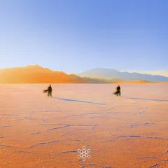 Praana Insight Out - LTD (2LP)