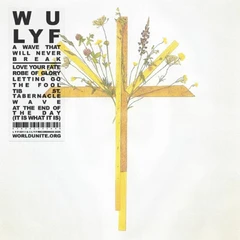Wu Lyf A Wave That Will Never Break (LP)
