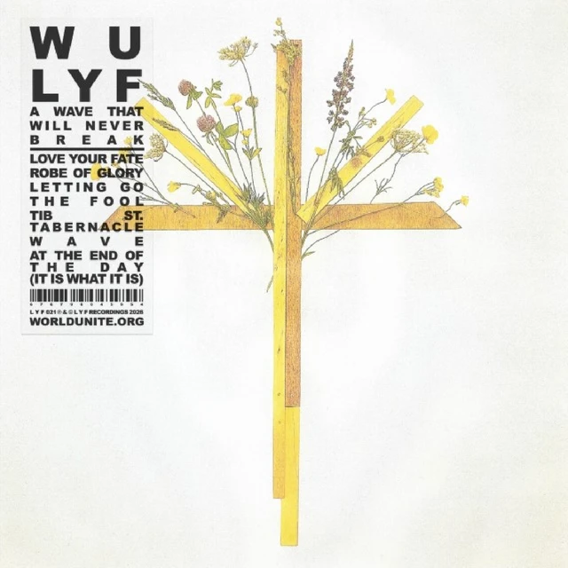Wu Lyf A Wave That Will Never Break (LP) 