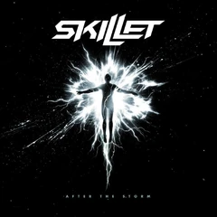Skillet After The Storm - LTD (LP)