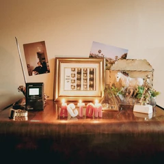 Actor The Best Of (LP)