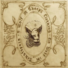Josephine Foster A Wolf In Sheep's Clothing - LTD (LP)
