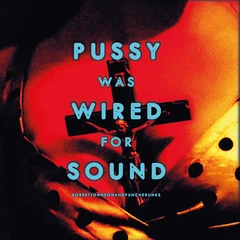 Robert Johnson And Punchdrunks Pussy Was Wired For Sound - LTD (LP)