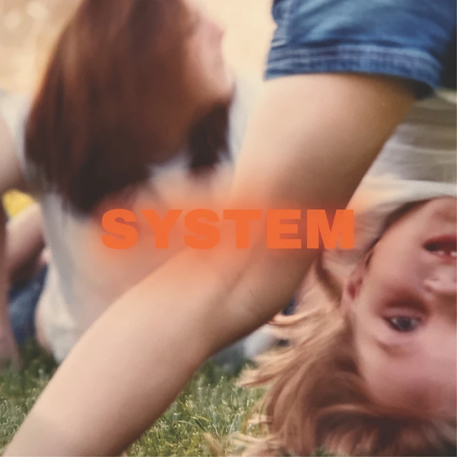 Prewn System - LTD (LP) 
