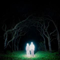 Gnoomes Losey - LTD (LP)