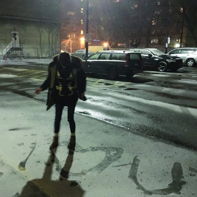 Hayden The Recent Past (LP) 