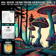 Diverse Artister 80s Rock Gems From Germany Vol. 2 (3LP)