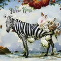 The Flower Kings Hope (2LP)