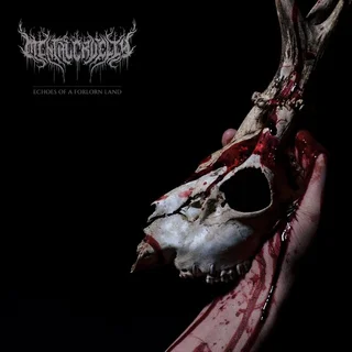 Mental Cruelty Echoes Of A Forlorn Land (CD)