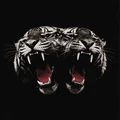 Royal Blood Dead Company - LTD (LP)