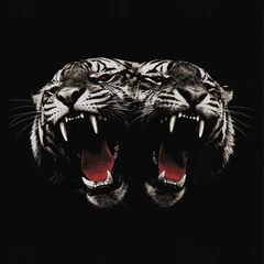 Royal Blood Dead Company - LTD (LP)