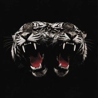 Royal Blood Dead Company (CD)