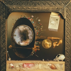 Wishy Nature's Pill - LTD (LP)