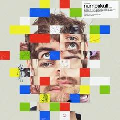 Ryan Hemsworth Numbskull (CD)