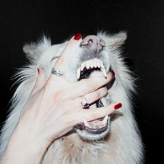 Porch Light Hush (LP)