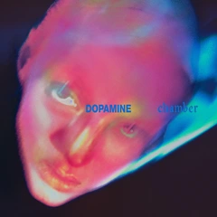 Fontaines D.C. Dopamine Chamber - LTD (LP)