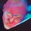 Fontaines D.C. Dopamine Chamber - LTD (LP)