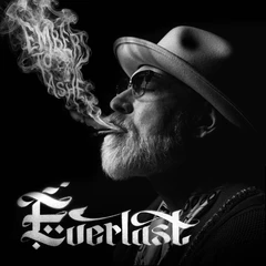 Everlast Embers To Ashes - LTD (2LP)