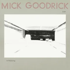 Mick Goodrick In Pas(s)ing - LTD (LP)