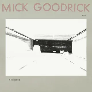 Mick Goodrick In Pas(s)ing - LTD (LP)