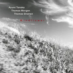 Ayumi Tanaka Windflower (CD)